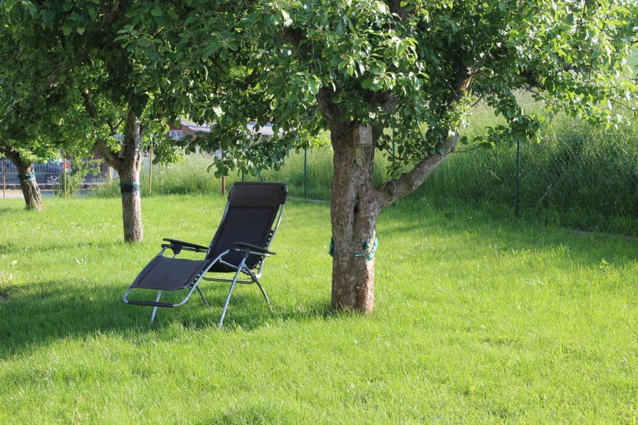 Ferienwohnung Am Kugelbaum Lunzenau Luaran gambar