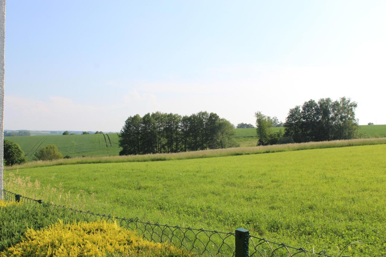 Ferienwohnung Am Kugelbaum Lunzenau Luaran gambar